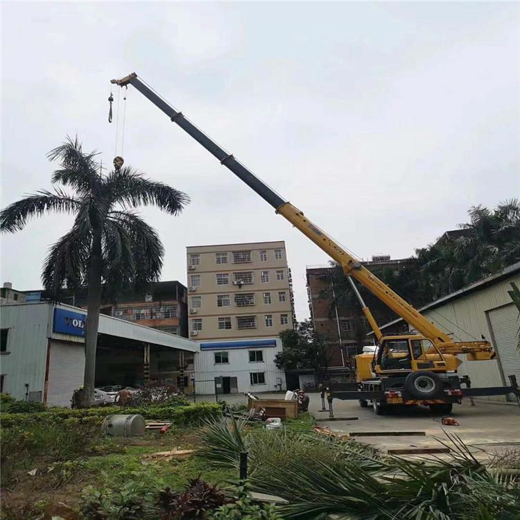 东山县汽车吊出租多少钱？全面解析与市场行情